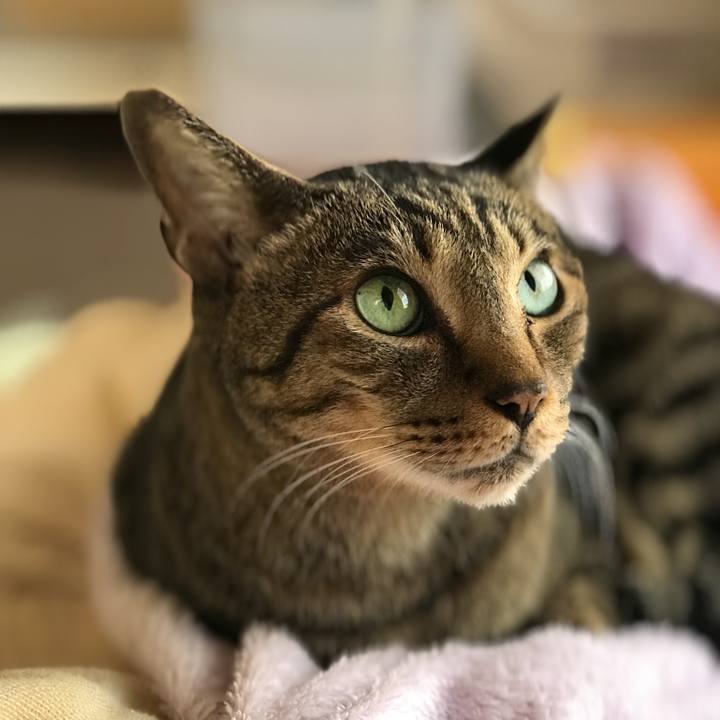 Daa4cd7f 64bb 400a b99e 5eeb9c7a0671