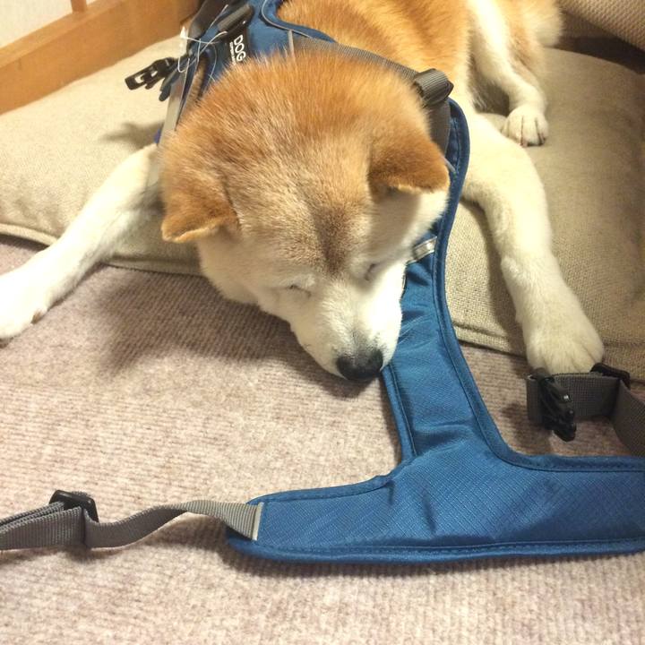 Daa4ed0c d6af 4a72 924a 57ae8d4a00bd