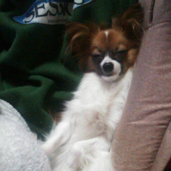 Daa5a0b2 4b16 4adb 95c5 d4127f1342be