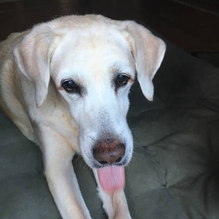 Daa6b109 2ad6 43b9 9718 02524eb92db9