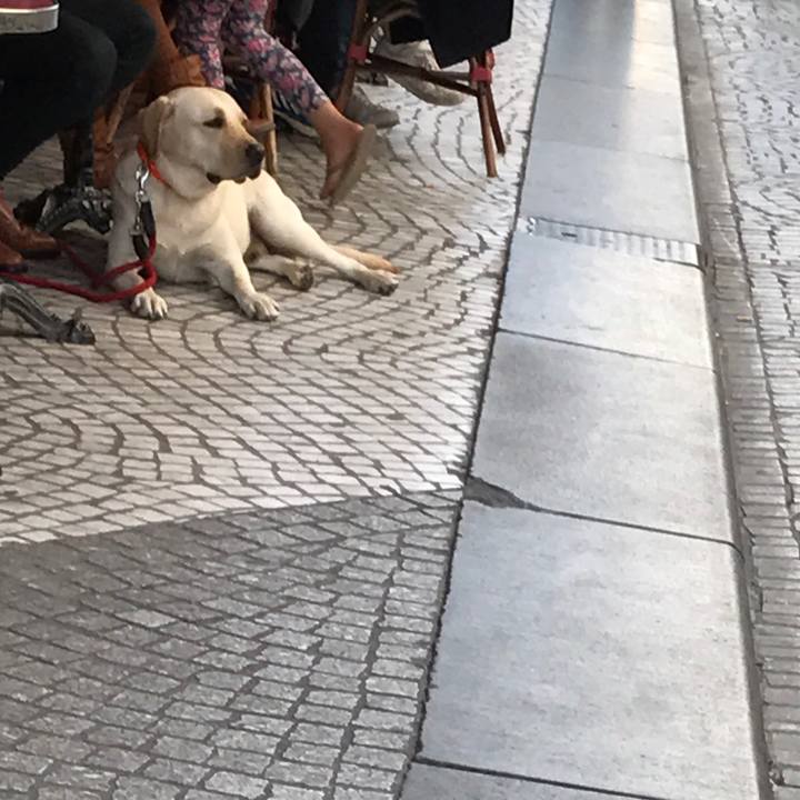 Daa7adc8 d01a 4669 9ba0 7659b18e5449