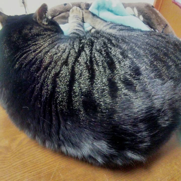 Daa89534 6dce 49ad 8f8a d58682a3f310