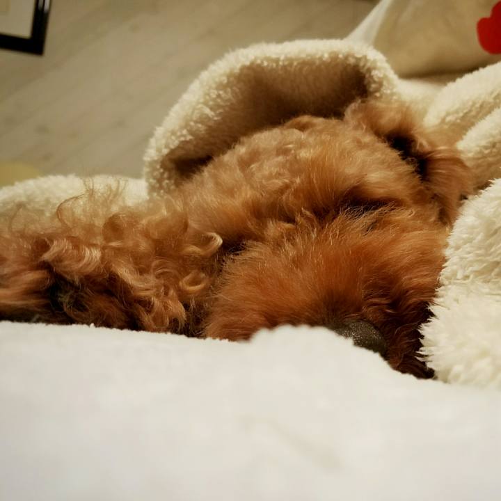 Daa8985e e73b 43e7 be92 4f8f88640d08