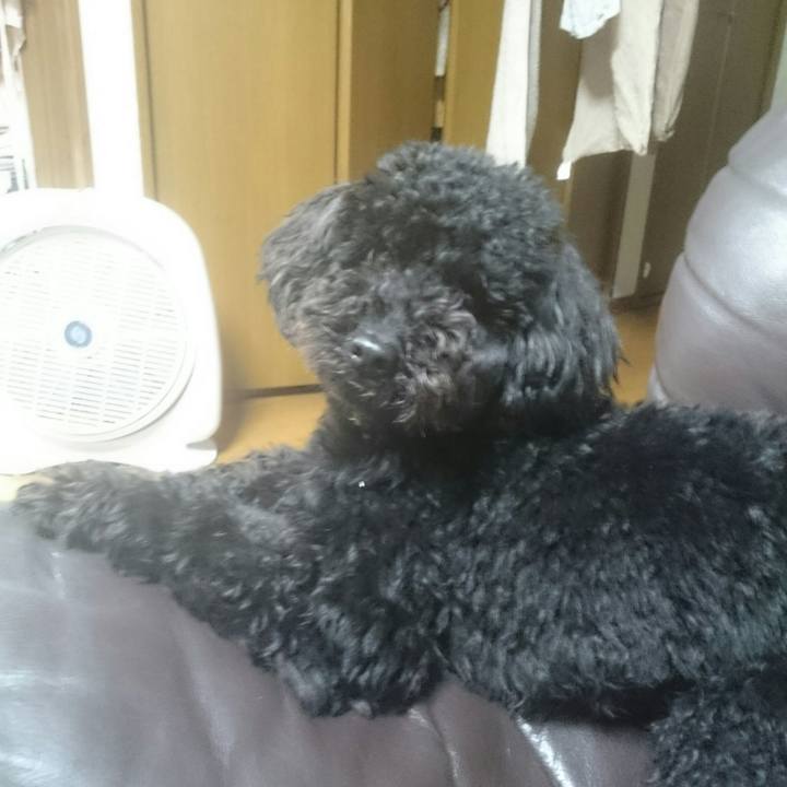 Daa8aa06 61cd 4a0b aa85 b9d3b5b408b2