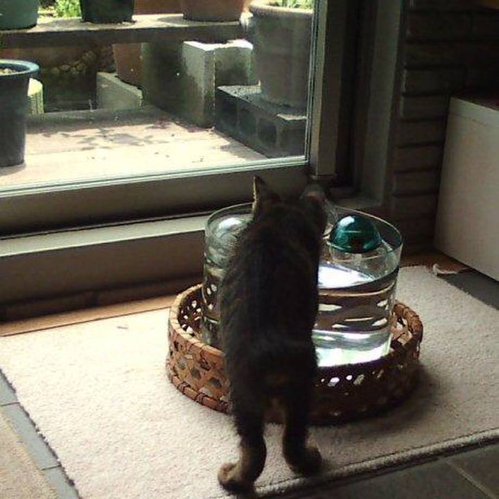 Daa9b6ed 4980 4a80 a60e 9e5d9b77a9ef