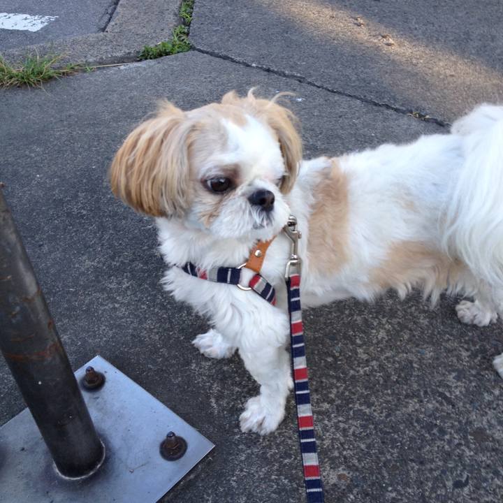 Daa9b753 881c 49d9 a3ad 87eab54e1d0a