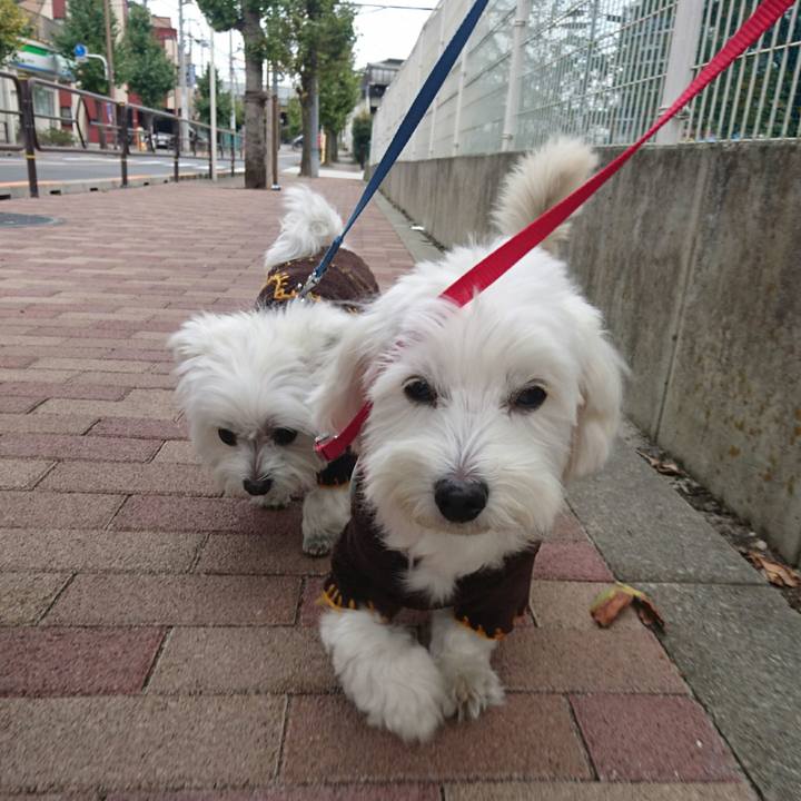 Daa9cf40 5bc6 4658 b266 994076e94c43