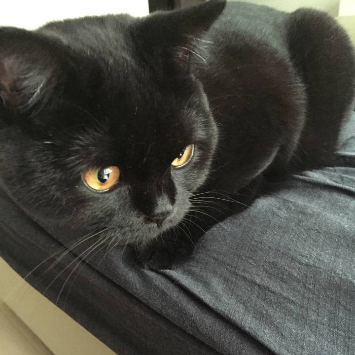 Daa9e130 e425 46f5 a980 2ce9853a13aa