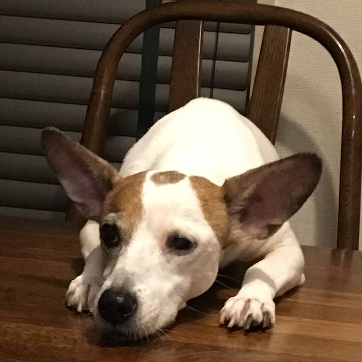 Daa9ed07 c916 4713 a3c3 a52996039ed3