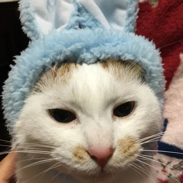 Daaa0f54 396f 470e b865 fdc46c82045e