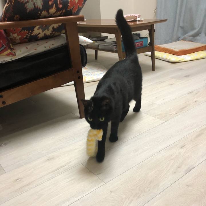 Daaa2550 7e9c 4f3c be76 d3f0531f0ab3