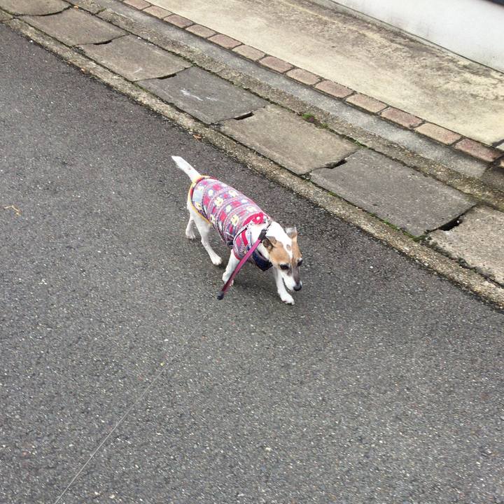 Daaa8944 5750 4e54 b802 6202f5f73131