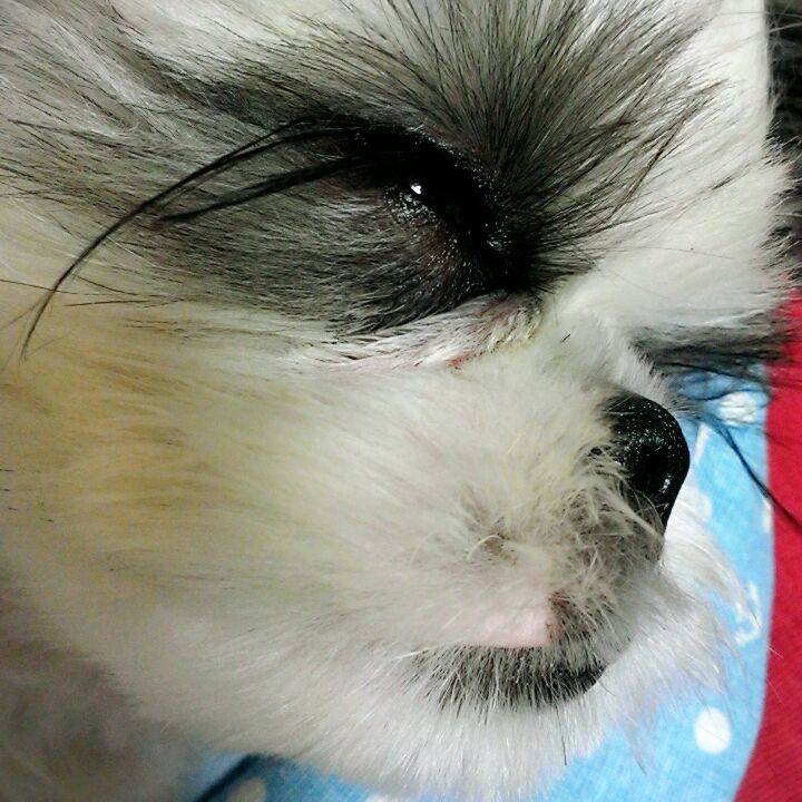 Daaa9968 ff3e 440b 8eac e61841a5ce7f