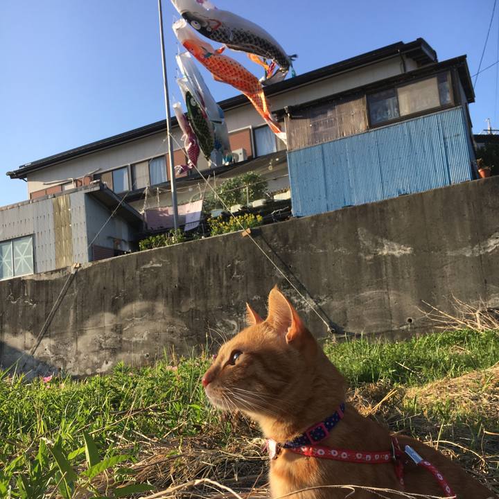 Daaaef5a 47c4 43dd a617 09dd60373556