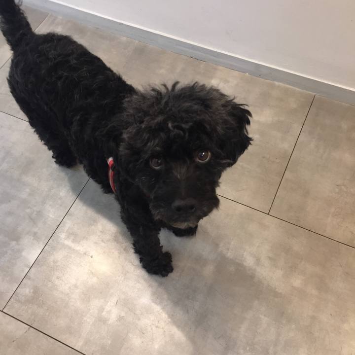 Daab2452 c3e7 4f5a b987 3f388b063fdc