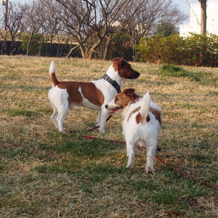 Daab4885 ee7b 4433 83ee a077671dad2e