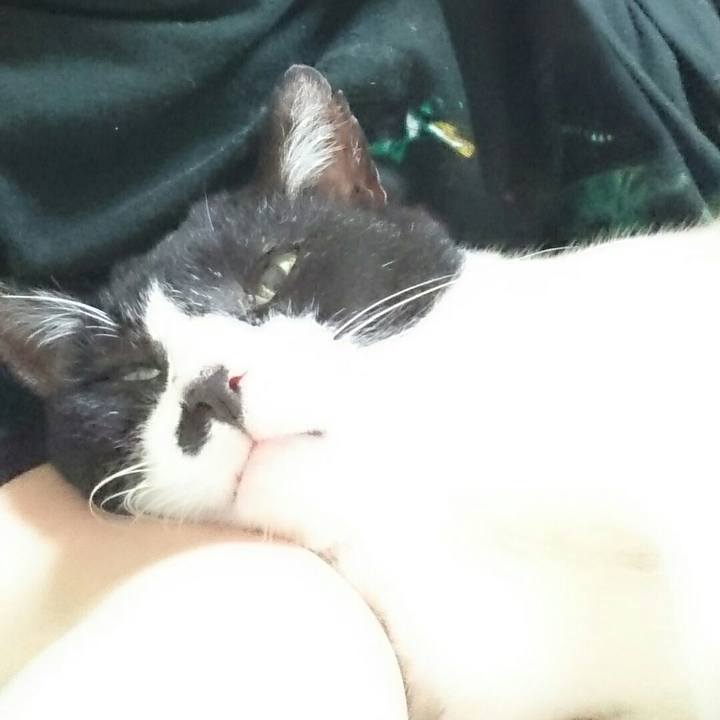 Daab61b1 98f5 4d1c 9d1a 3267c89b9436