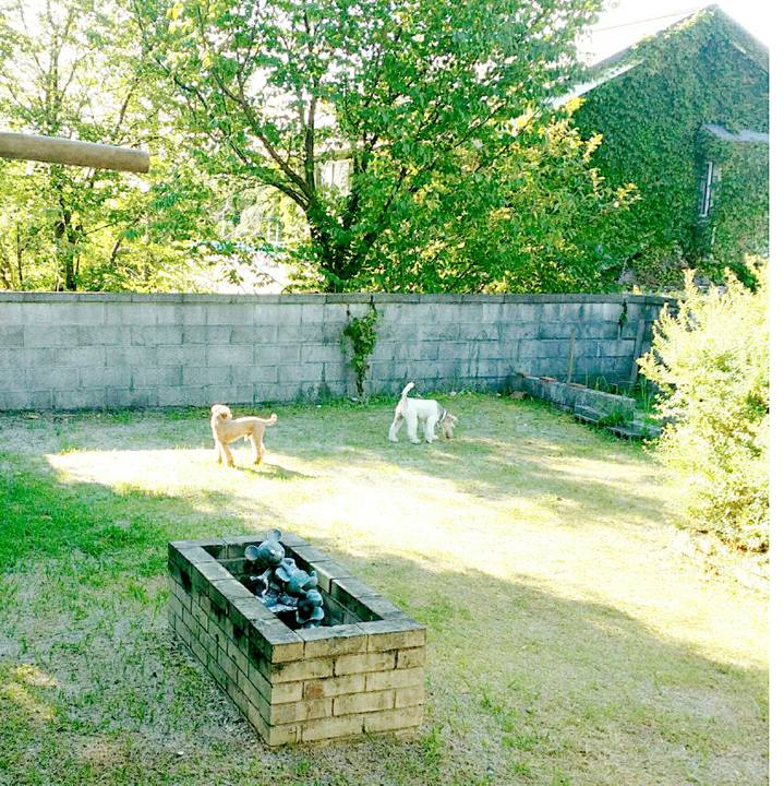 Daab7347 cf2f 4f4d 9d1e f3124f02c8ad