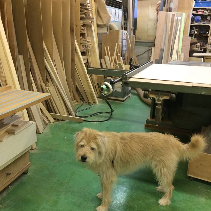 Daaba25c cb61 45f7 9de8 3c6fa08f1979