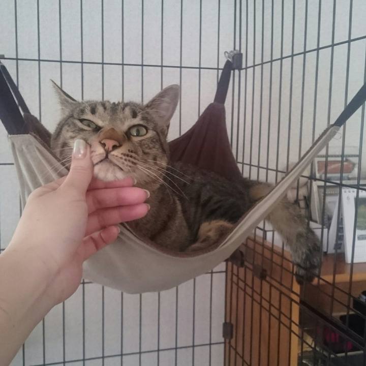 Daac233b 3252 4d1c bb0a 16a0129324ef