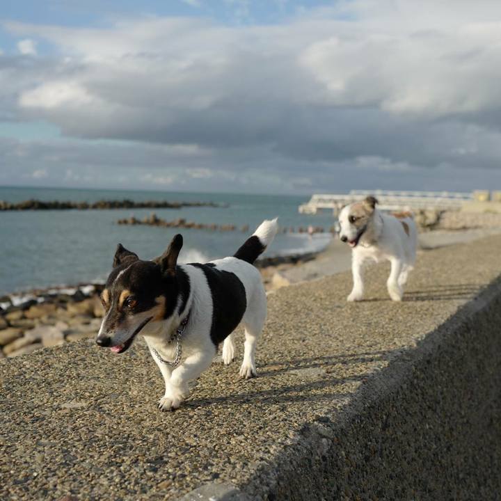 Daac50fd 4d7c 43f2 b8bb b8094125b3d6