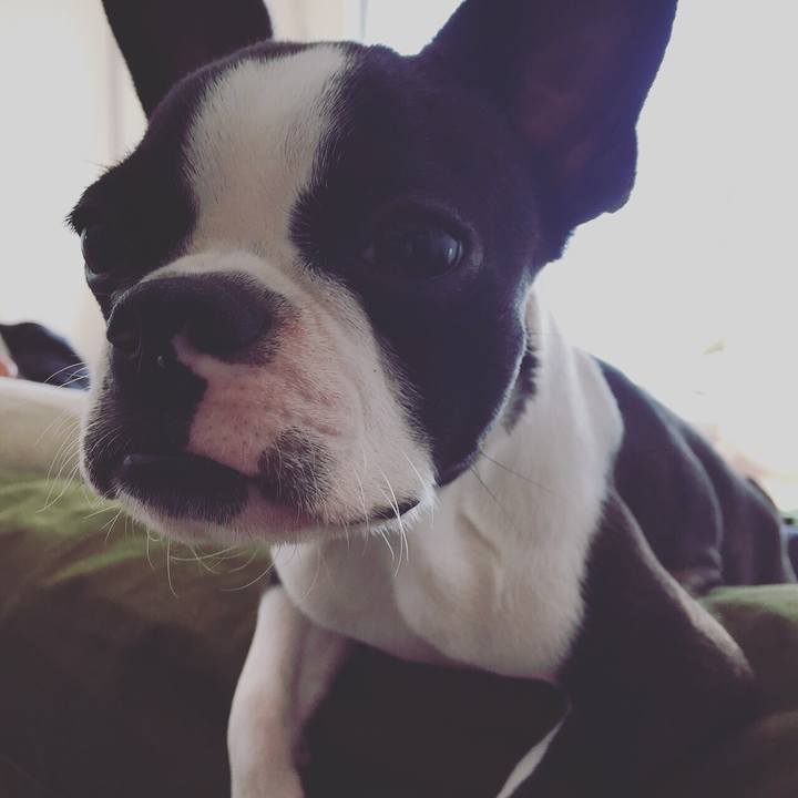 Daadc5ac 0ae2 4478 bf01 433587979850