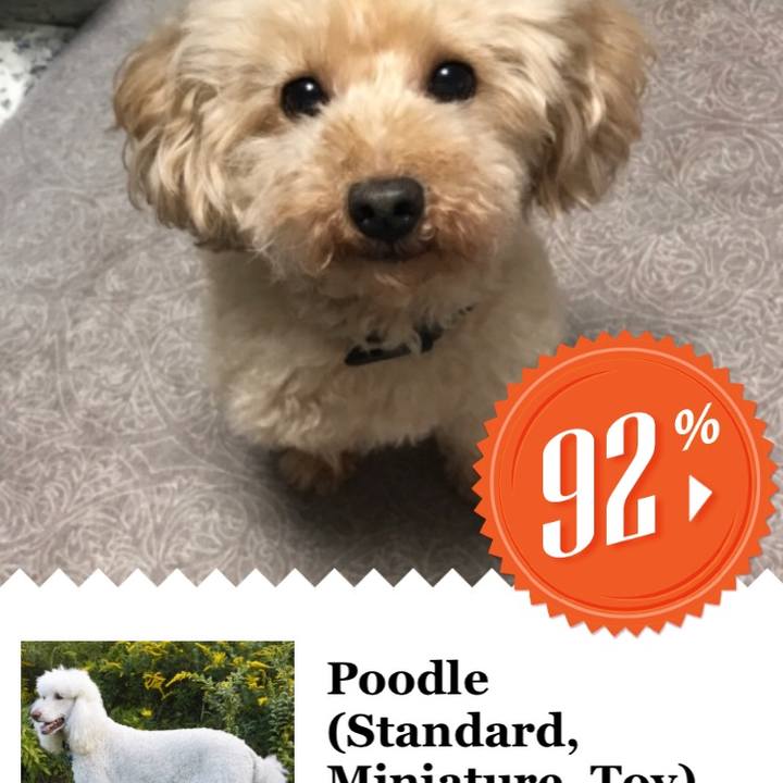 Daadf77f f410 425e 925e c55b4368f688