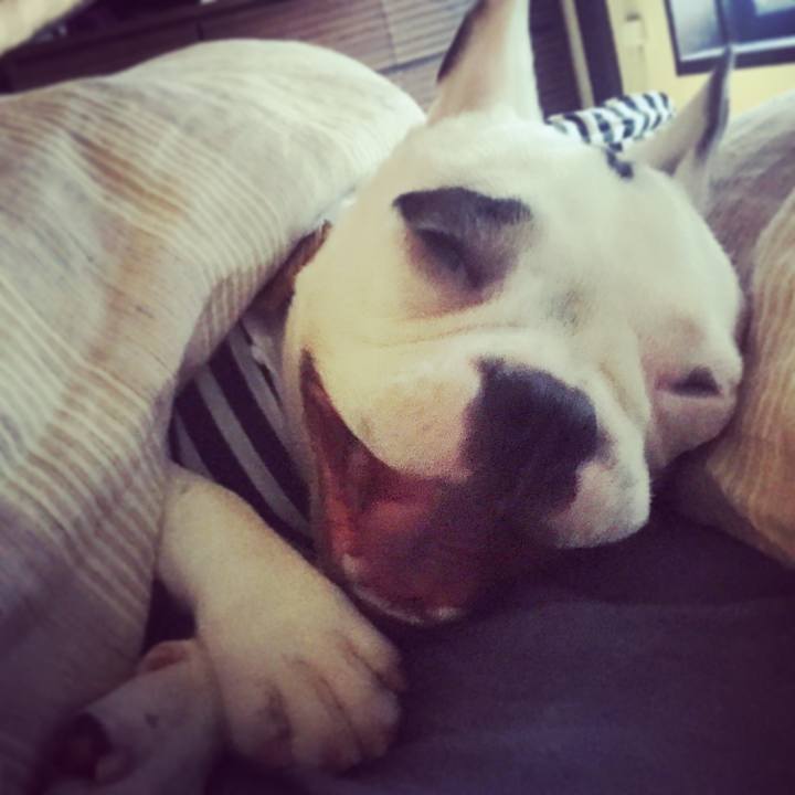 Daae9e53 211d 4417 8029 6f93b4b20d87