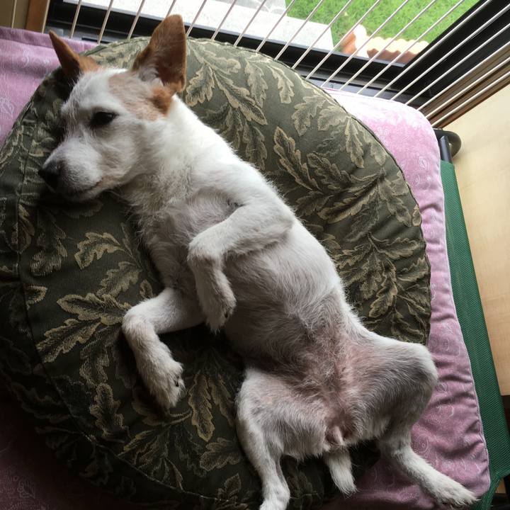 Dab17840 090a 483b aaf5 f82f9147ef51