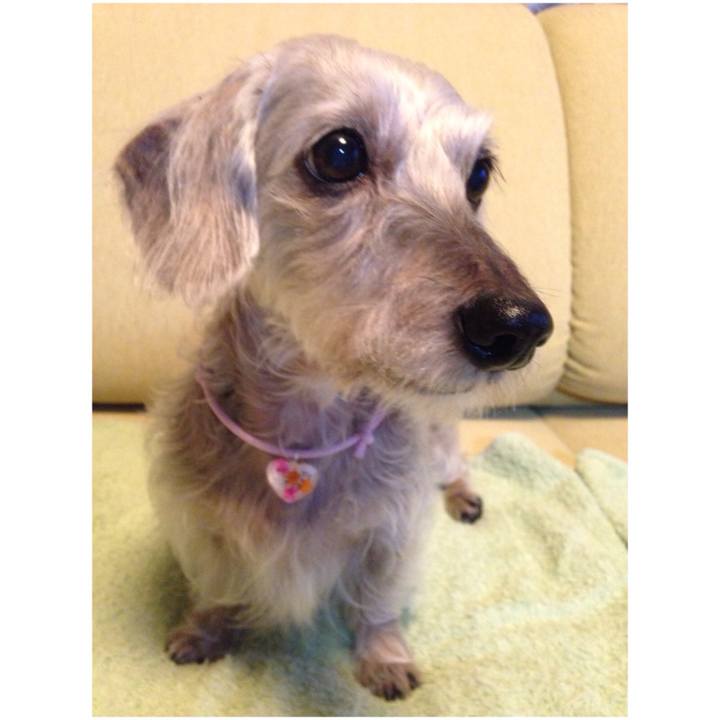 Dab2fc93 82ba 4b33 98bb c8ff3f6c8a3d