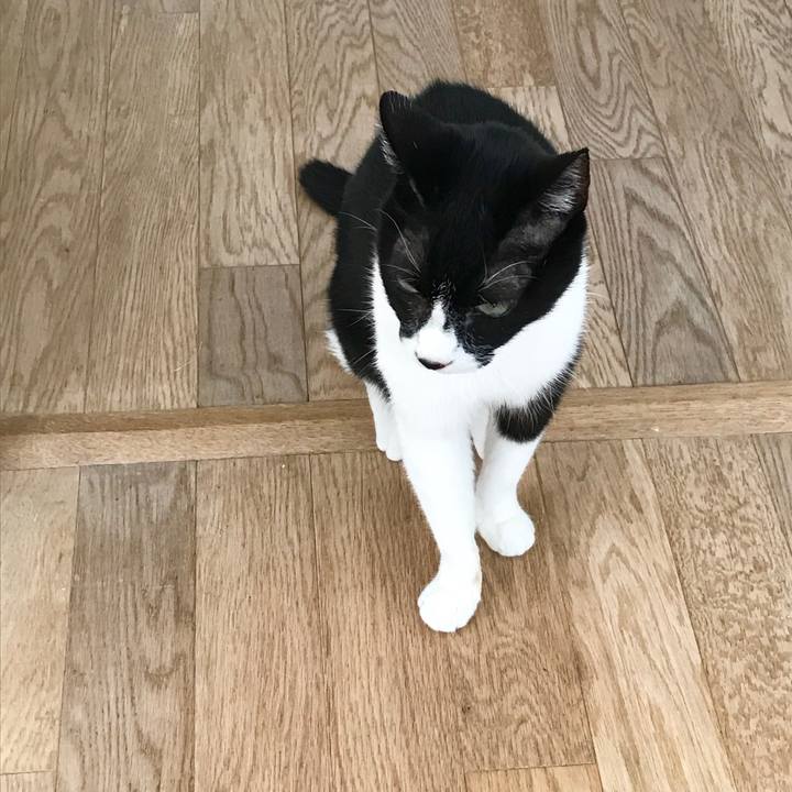 Dab3388a cd6e 407e 918d 08271ae220bc