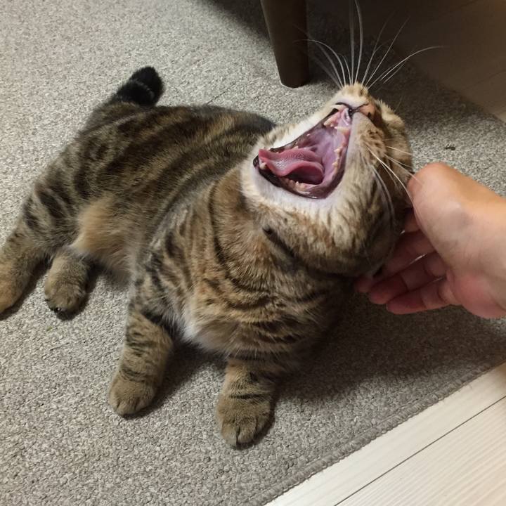 Dab3d7c6 7c37 467c 8e08 5e651c63fd6e