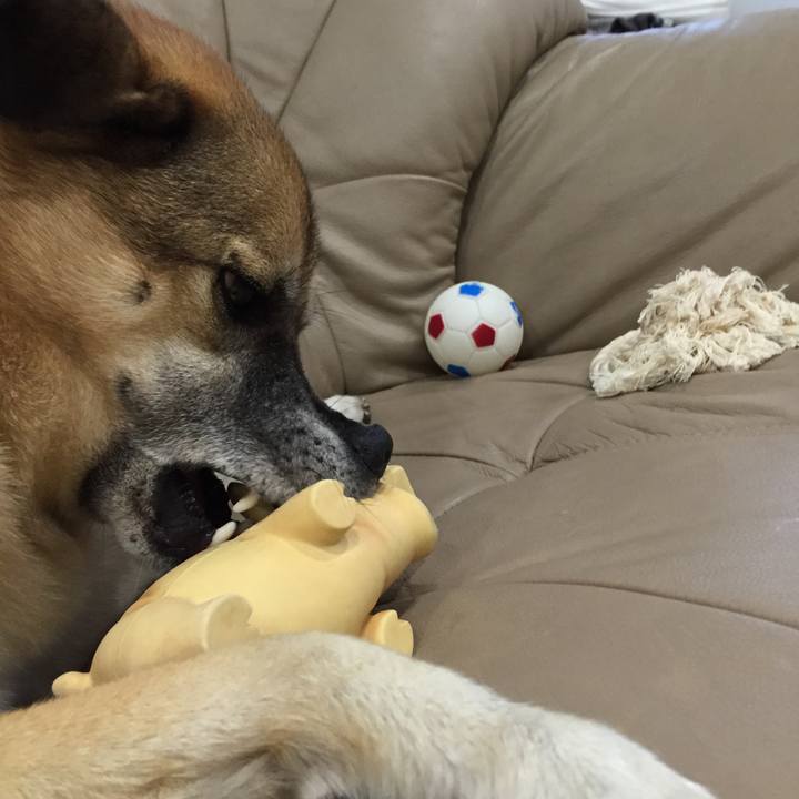 Dab43334 4754 4321 9bf4 2a3916e4943d