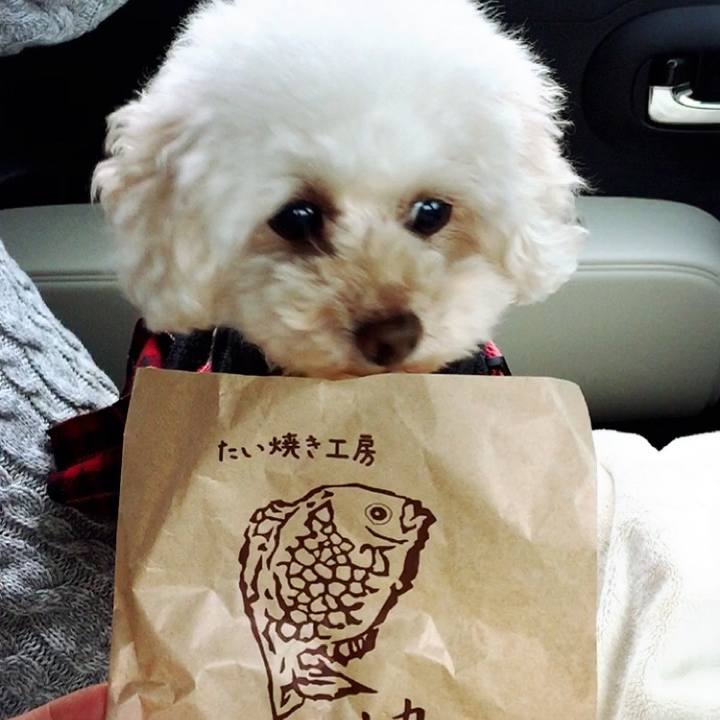 Dab46953 fce9 4039 b797 136c8abe6110