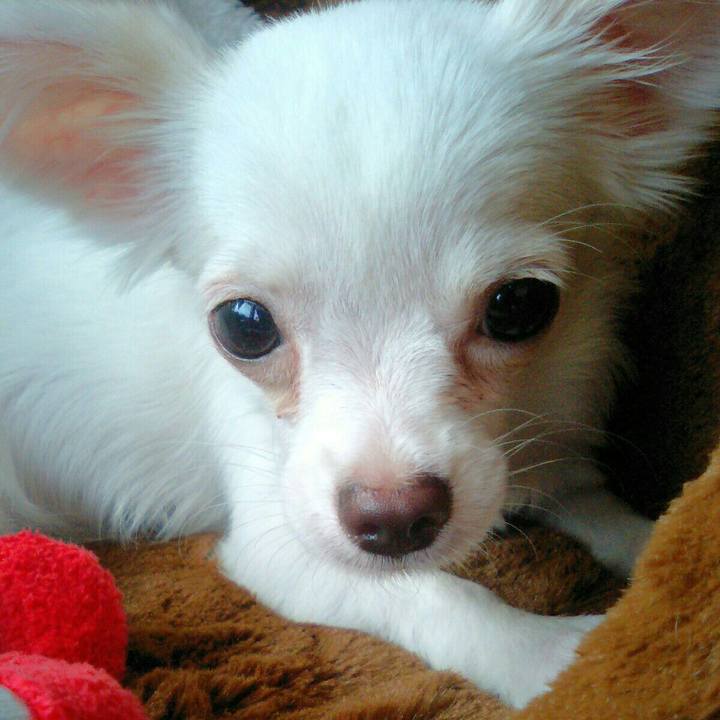 Dab4e533 432a 4f0f b1af 5ffa8d468691