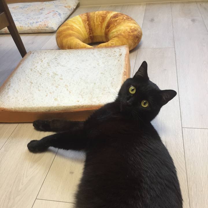 Dab50ebc ca18 473c 86a4 2c65bd1d380d