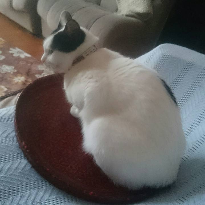 Dab553ed 0481 42a8 a1ba 8de852c8dda9