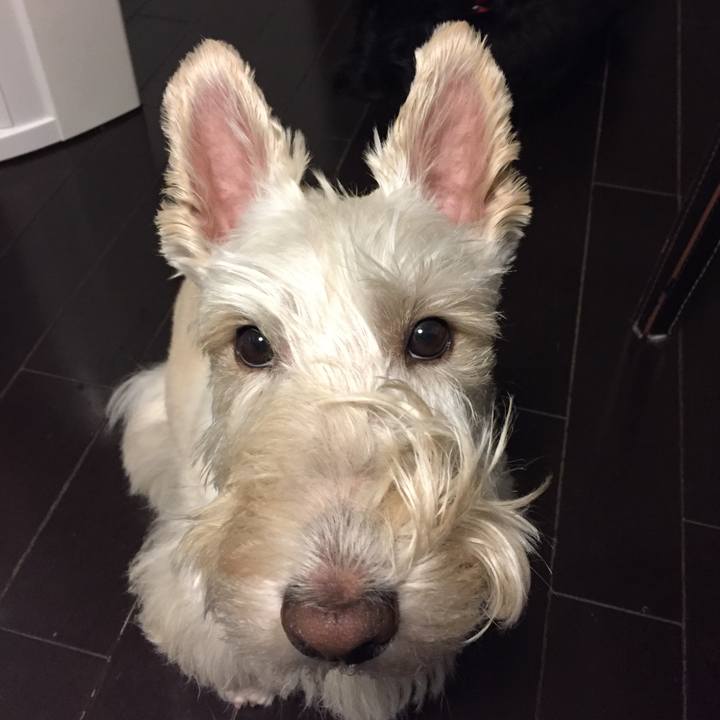 Dab61d83 02ce 4861 ac5e 34c72d039b86