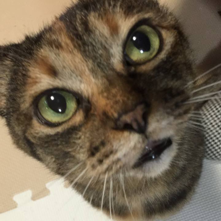 Dab62e7f bda9 4f96 9c60 e431d806fe8c