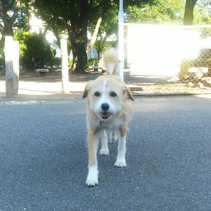 Dab65e5f 0f11 48e9 8294 739f4e0ee148