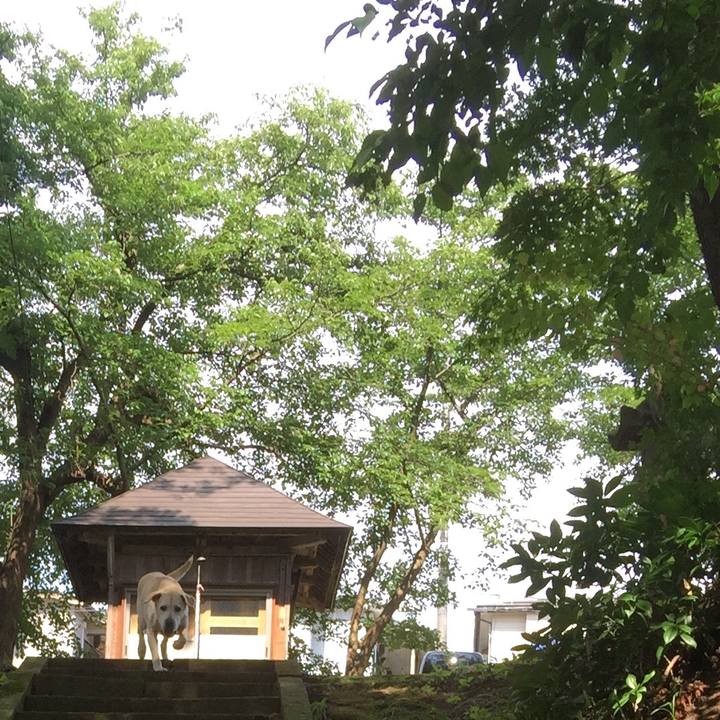 Dab761d7 29c4 4454 834b 24cb9488954b