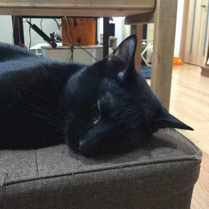 Dab77633 1e22 4042 ac99 38c13c59c885