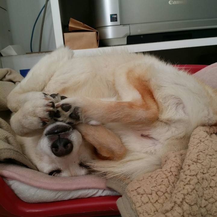 Dab77e99 4120 4c15 96a1 e5c603a23bb4