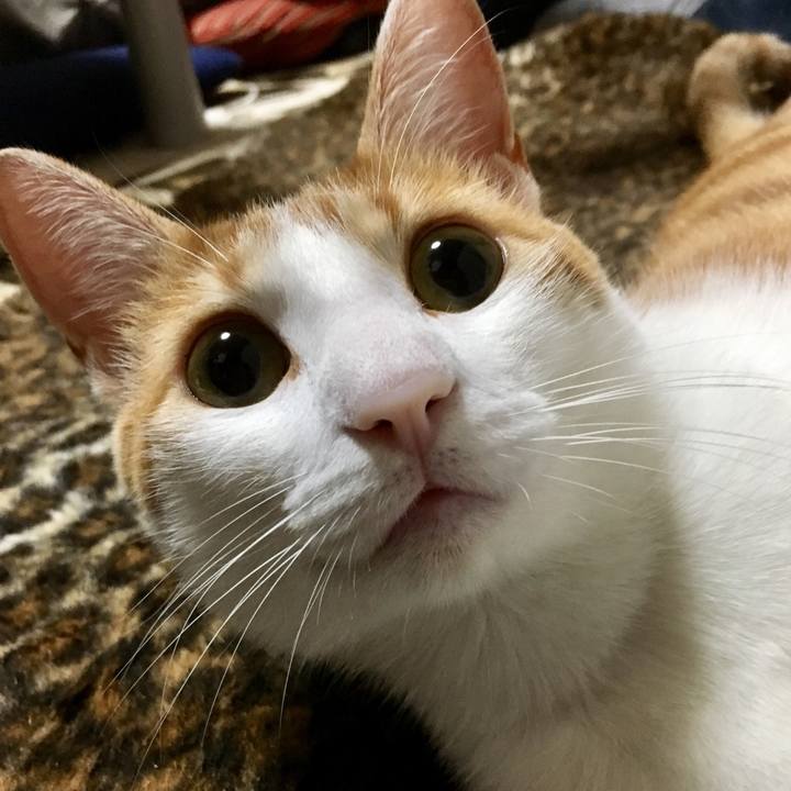 Dab7aa48 2480 4451 bc24 4cbb7405a2bd