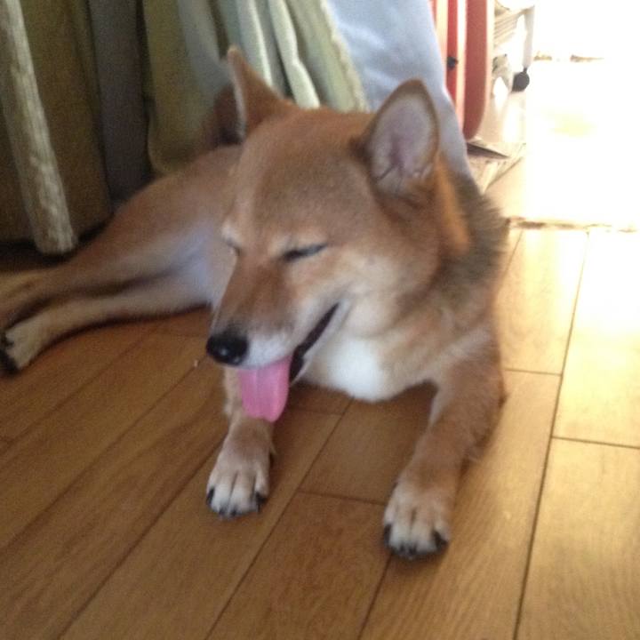 Dab7fcbb 36be 4509 bc2f 3c038a4f018f