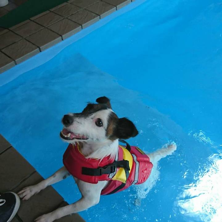 Dab81d5f 5bdc 47f1 b2f7 603d303090b8