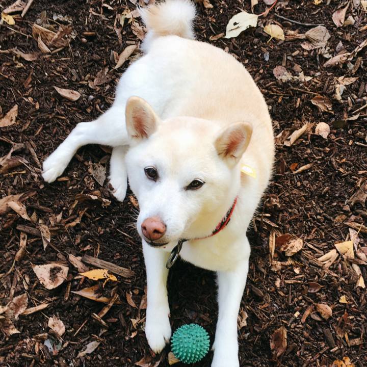 Dab872bc a5e0 496e 8d77 bedce2aa22c8