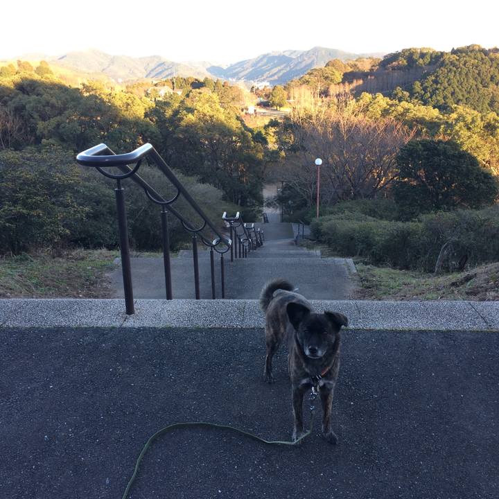 Dab98220 1e66 4961 8537 1585496065bd