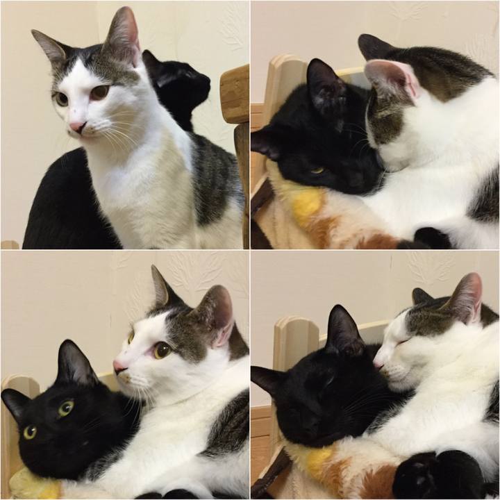 Dab99bab 7b91 4efe b526 80697fda12c7