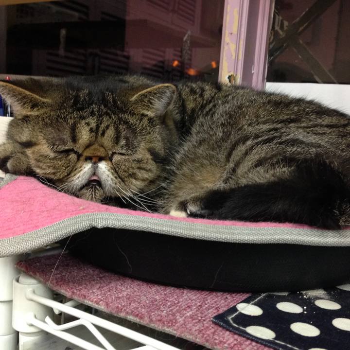 Dab9be98 05ac 4932 9258 44d5a598c7fc